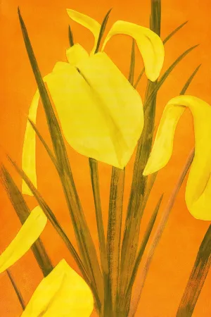 Acquaforte E Acquatinta Katz - 