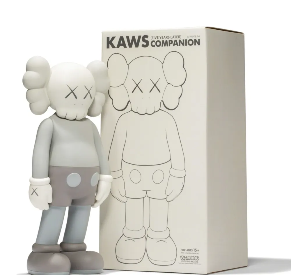 Monotipo Kaws - 5 Years Later Companion - grey