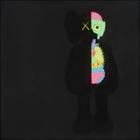 Multiplo Kaws - Dissected Companion (Black)