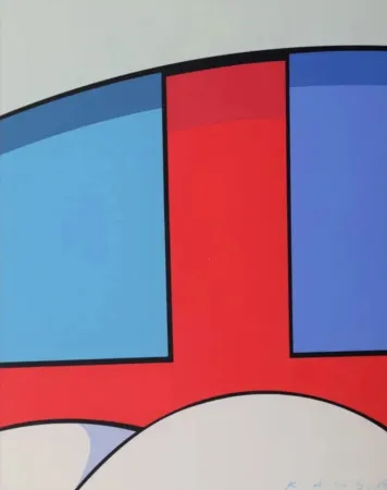 Multiplo Kaws - KAWS X MOCAD