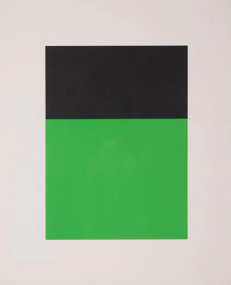 Litografia Kelly - Black/Green