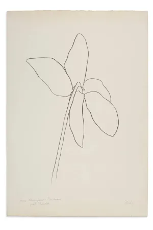 Litografia Kelly - Cyclamen IV, 1964-1965