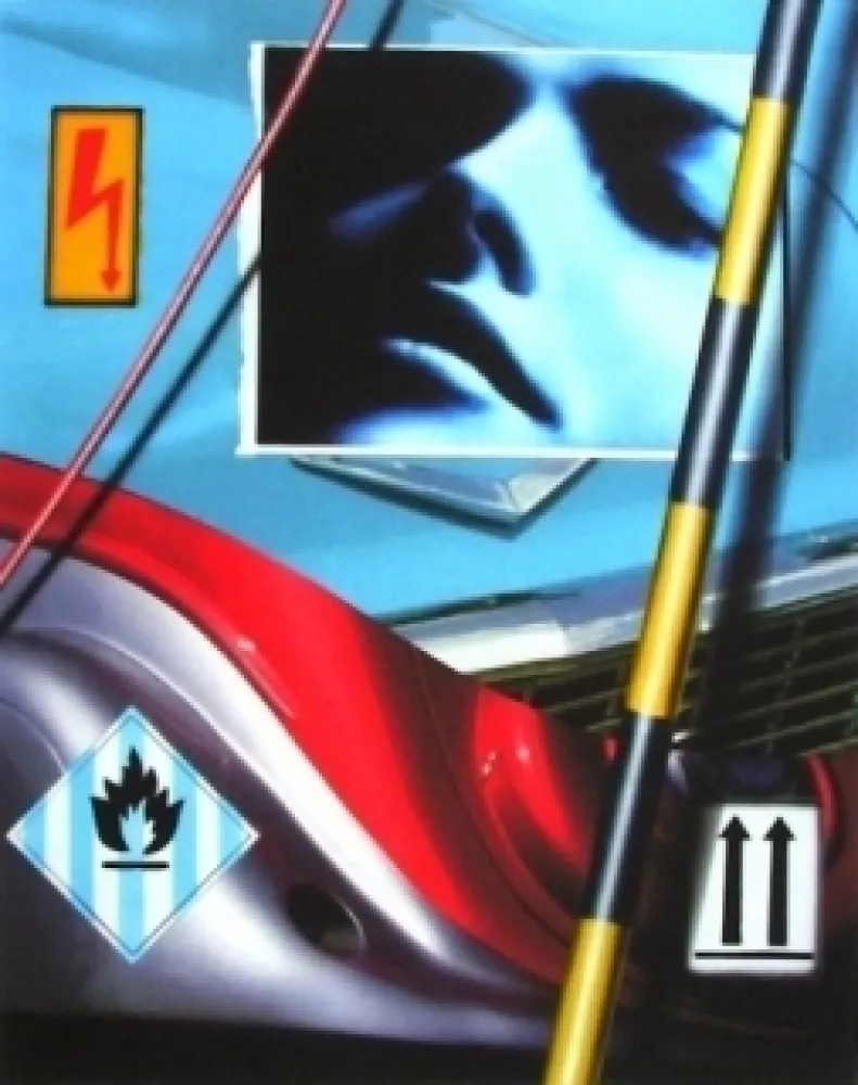 Grafica Numerica Klasen - Automobile