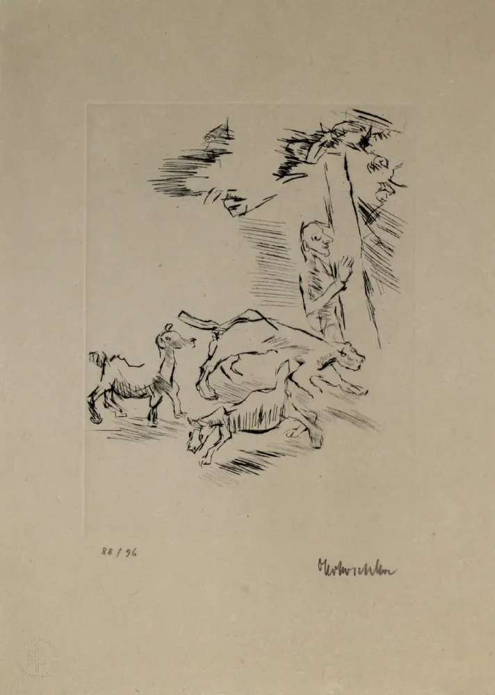Incisione Kokoschka - Der Beobachter