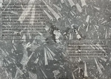 Acquaforte Kosuth - El mapa de Miranda y la disciplina de Nietzsche