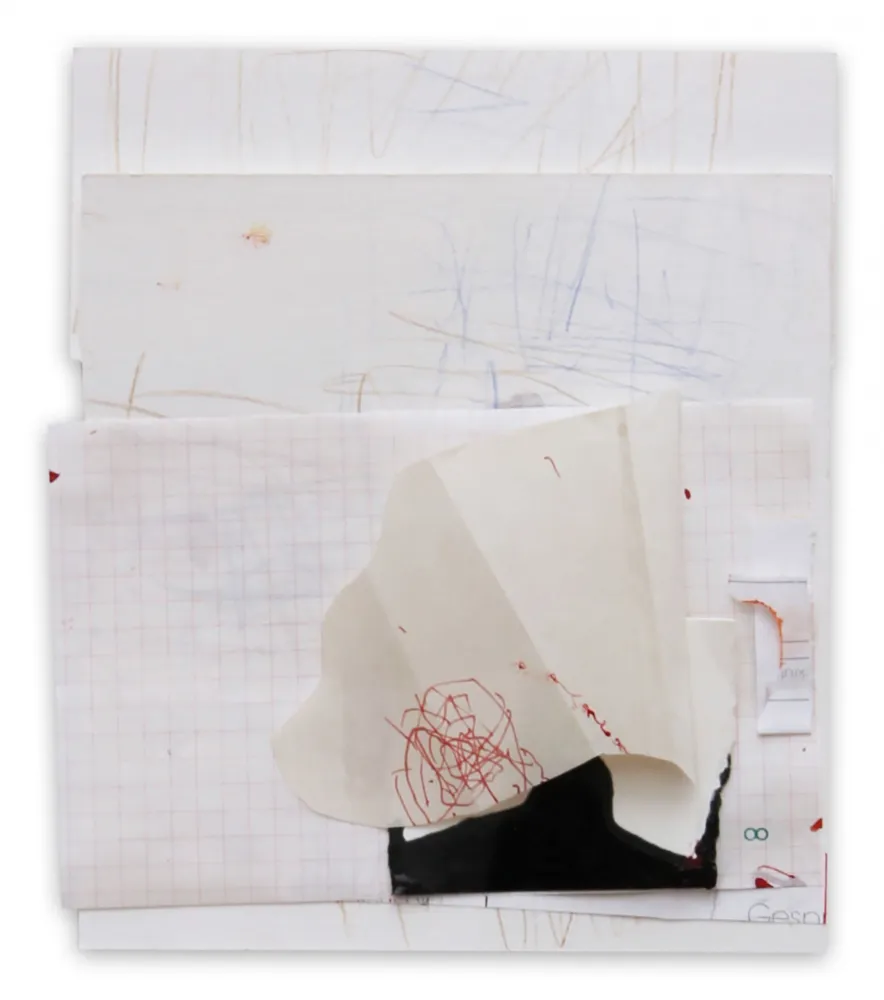 Non Tecnico Kroner - 12.06.10