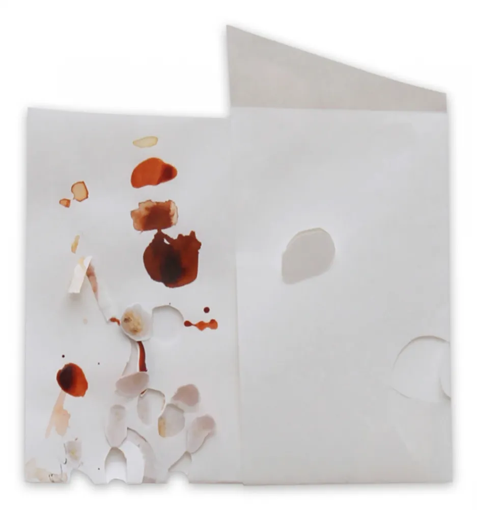 Non Tecnico Kroner - 22.05.15