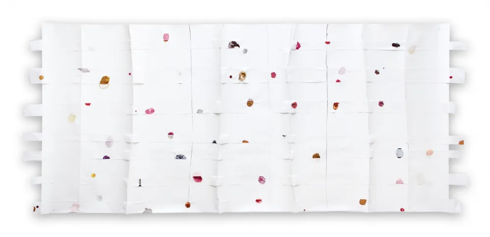 Non Tecnico Kroner - Cut 39