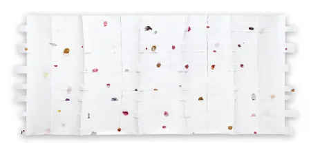 Non Tecnico Kroner - Cut 39