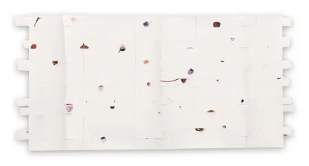 Non Tecnico Kroner - Cut 42