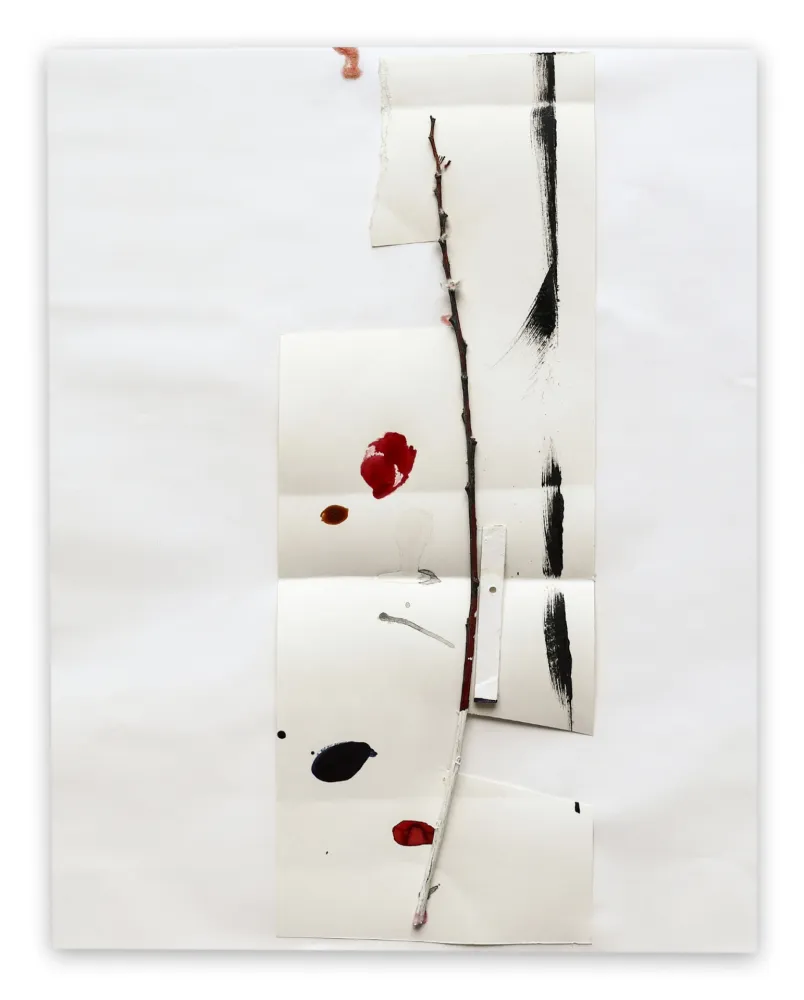 Non Tecnico Kroner - K2003