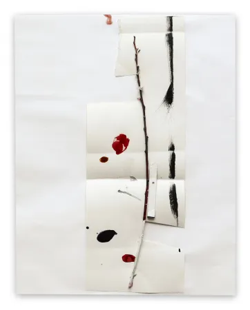 Non Tecnico Kroner - K2003