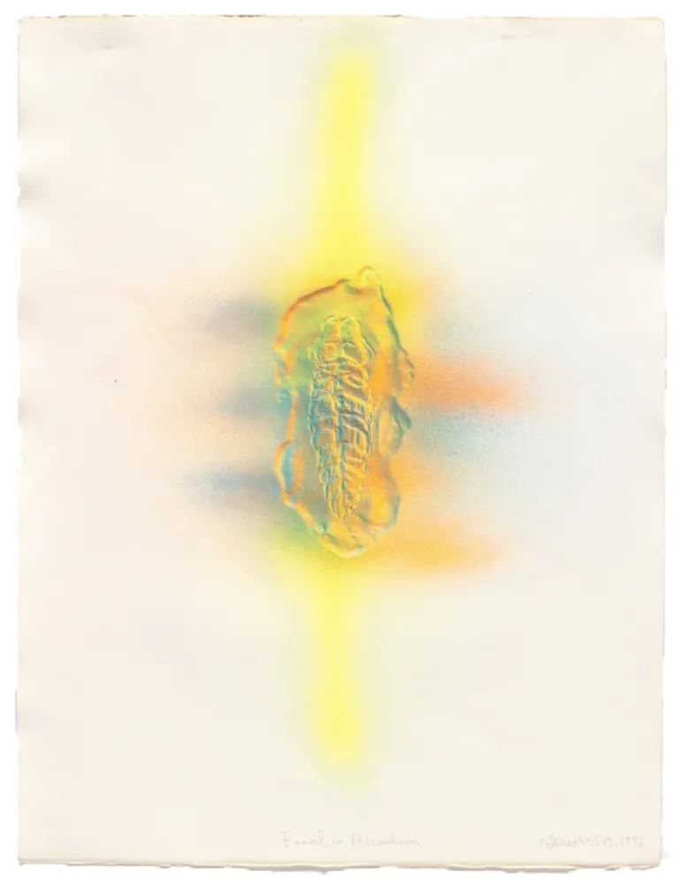 Incisione Kudo - Fossil in Hiroshima