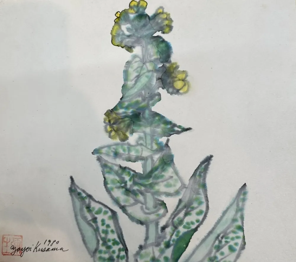 Non Tecnico Kusama - Rape blossoms