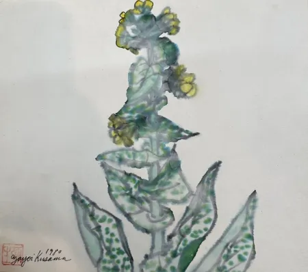 Non Tecnico Kusama - Rape blossoms