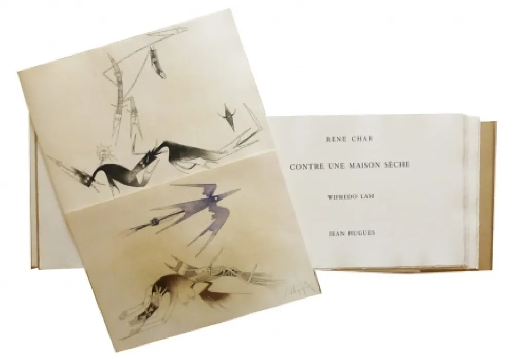 Libro Illustrato Lam - Contre une maison sèche