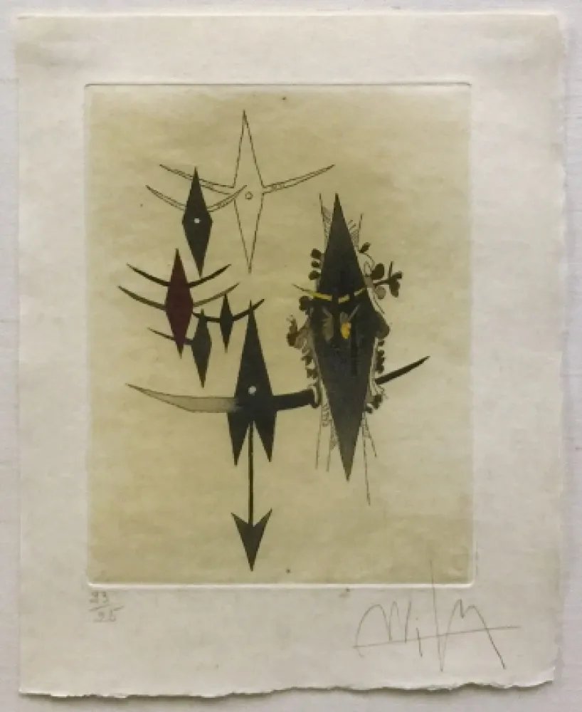 Non Tecnico Lam - CROISEUR NOIR II