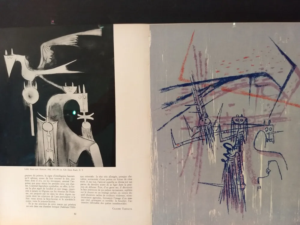 Libro Illustrato Lam - Xxe No 21