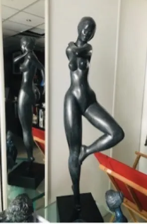 Non Tecnico Laniau - Hirondelle