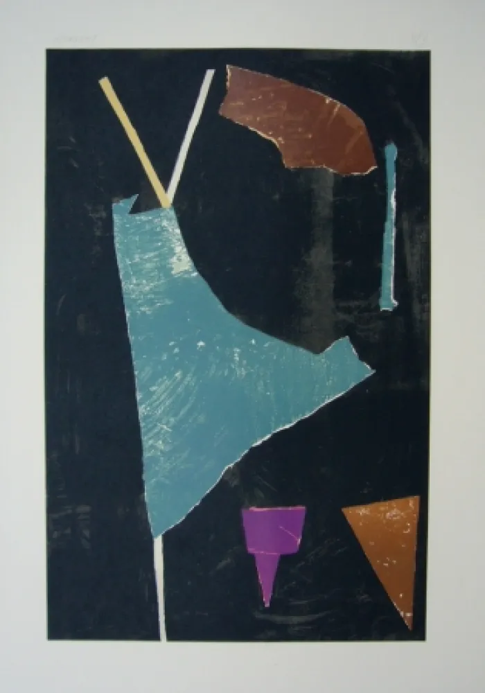 Litografia Lanskoy - Journal d'un fou