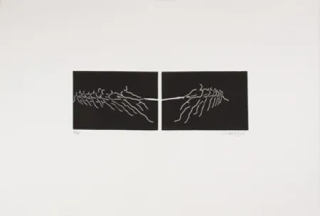 Linoincisione Larregui - TIR A LA CORDE