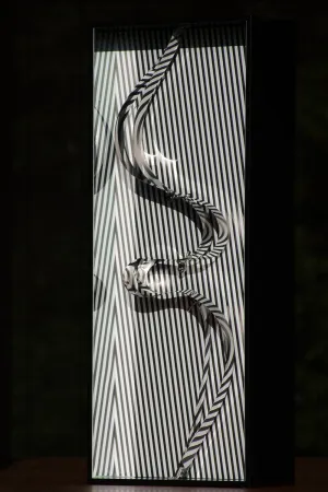 Multiplo Le Parc - Formes en Contorsions