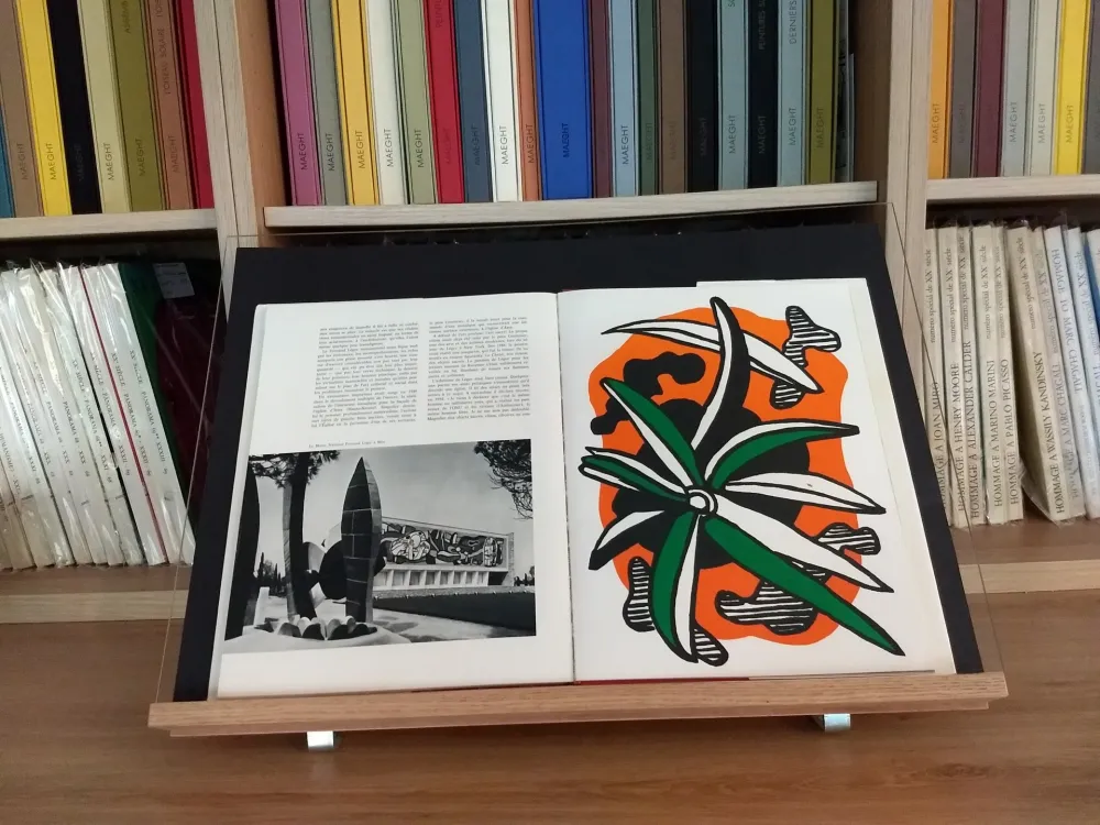 Libro Illustrato Leger - Hommage