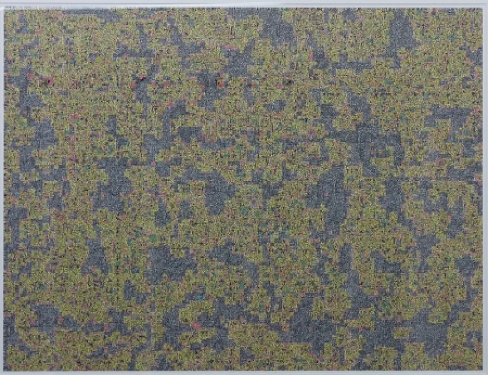 Grafica Numerica Leherpeur - Compression ADS 2