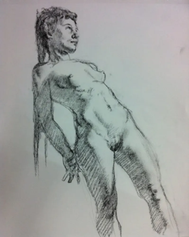 Non Tecnico Lehrer - Ali