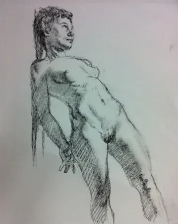 Non Tecnico Lehrer - Ali