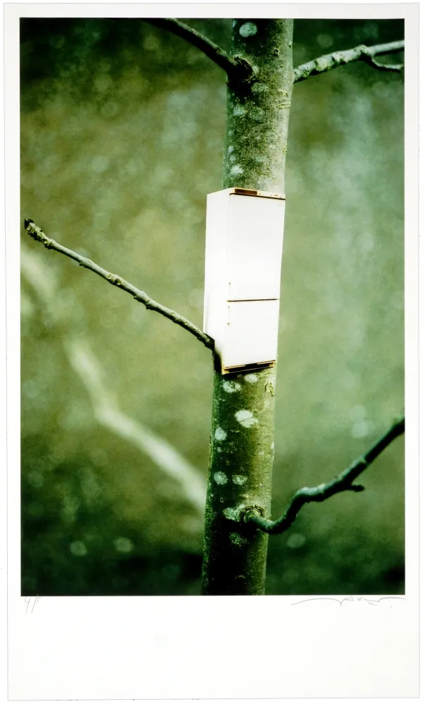 Grafica Numerica Leick - Greffes et greffons I