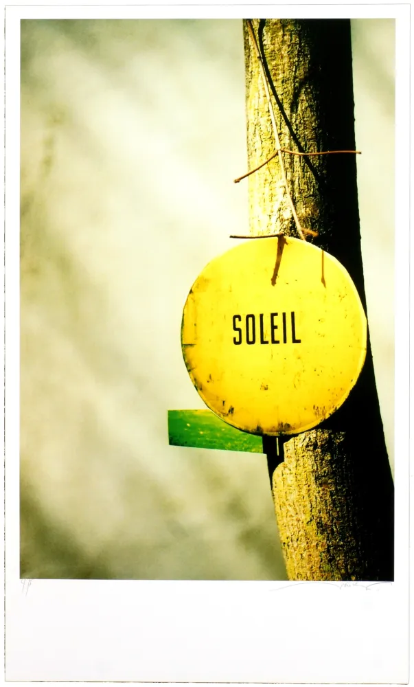 Grafica Numerica Leick - Greffes et greffons, II