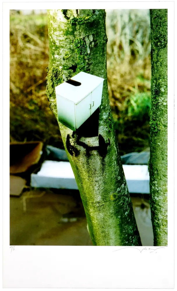 Grafica Numerica Leick - Greffes et greffons III