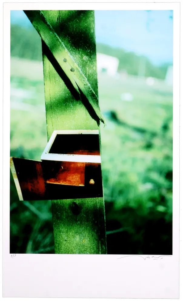 Grafica Numerica Leick - Greffes et greffons VI