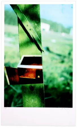 Grafica Numerica Leick - Greffes et greffons VI