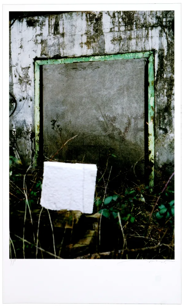 Grafica Numerica Leick - Greffes et greffons VIII