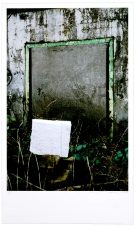 Grafica Numerica Leick - Greffes et greffons VIII