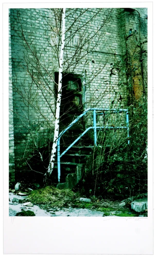 Grafica Numerica Leick - La fin d’un monde II