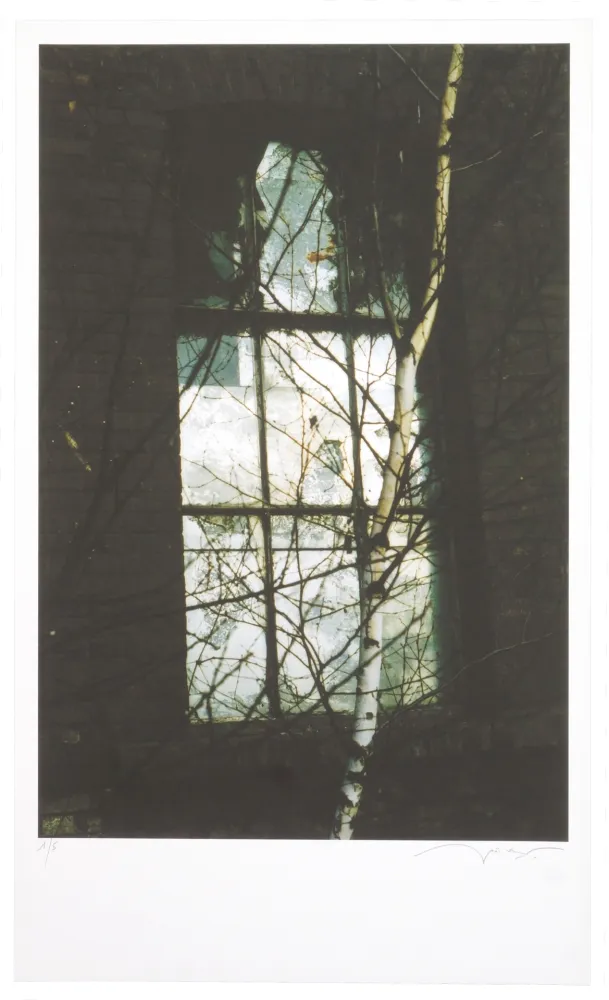 Grafica Numerica Leick - La fin d’un monde VI