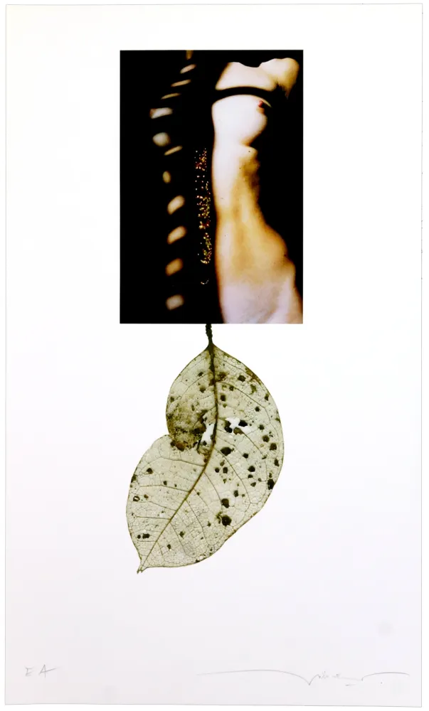 Grafica Numerica Leick - Sans titre I