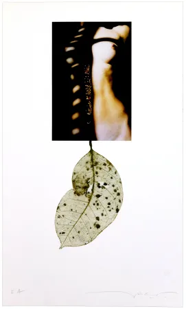 Grafica Numerica Leick - Sans titre I