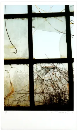 Grafica Numerica Leick - Window II