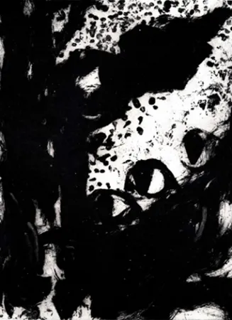 Incisione León - Luz de luna I