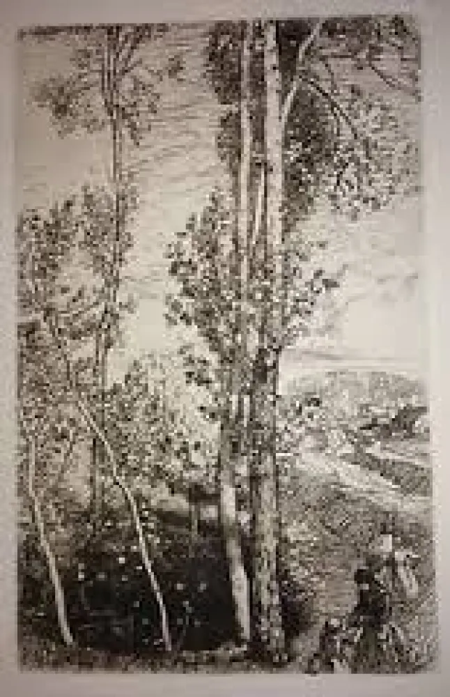 Incisione Lepere - La petite mare