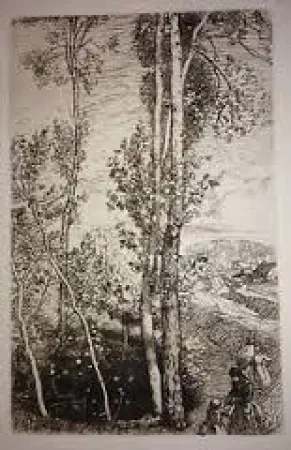 Incisione Lepere - La petite mare