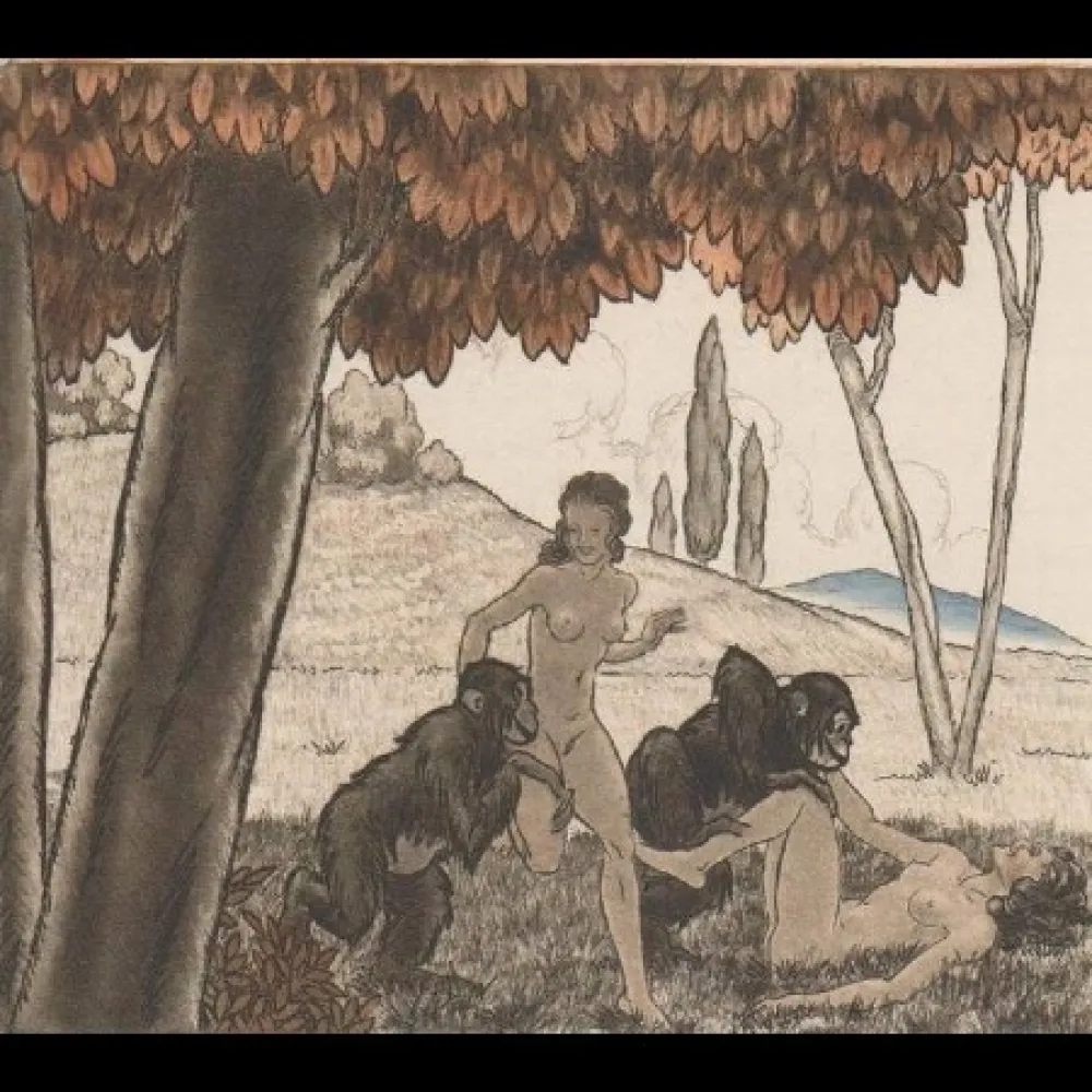 Libro Illustrato Leroy  - Candide, ou l'optimisme