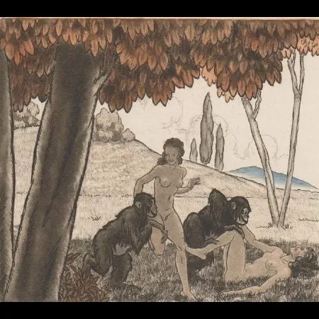 Libro Illustrato Leroy  - Candide, ou l'optimisme