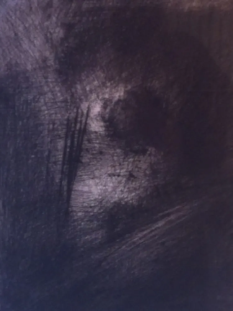 Incisione Leroy  - En Hauteur sur un lit sombre en diagonale