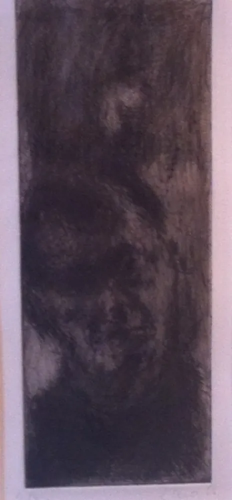 Incisione Leroy  - Portrait