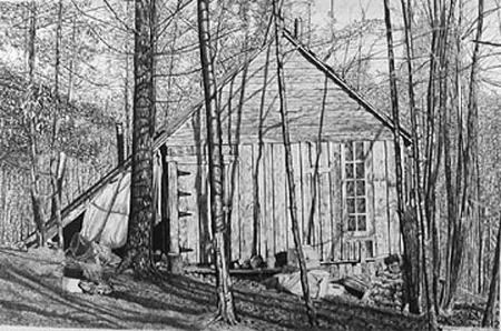 Litografia Levine - The Brookwood Cabin